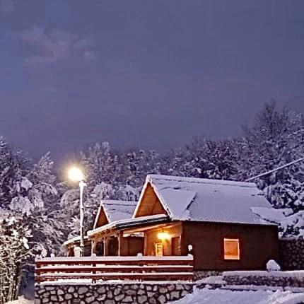 Oasis Of Peace Apartment Cetinje