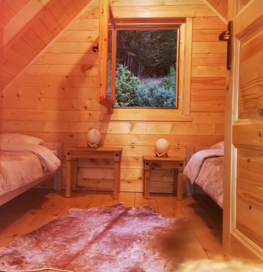 Oasis Of Peace Apartment